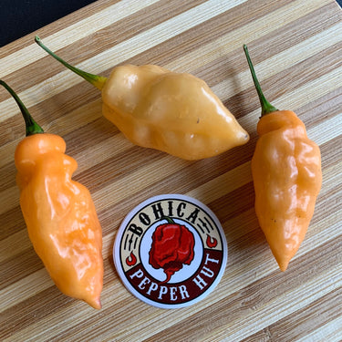 Bhut Jolokia Peach x Pimenta de Neyde - Seeds - The Pepper Pantry (Formerly Marie Sharp's)